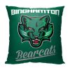 Binghamton Binghamton Alumni Pillow